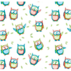 "Owls" Gift Wrap 1 Metre